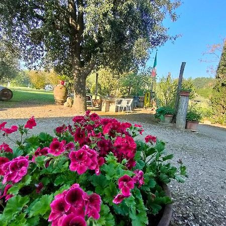 Azienda Agricola Polveraia San Gimignano Esterno foto