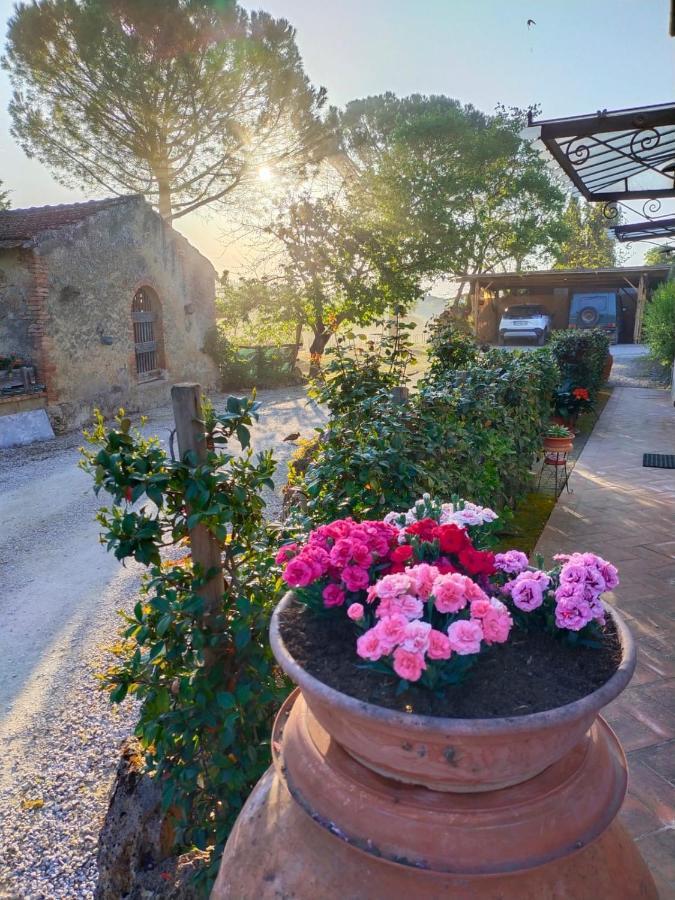 Azienda Agricola Polveraia San Gimignano Esterno foto