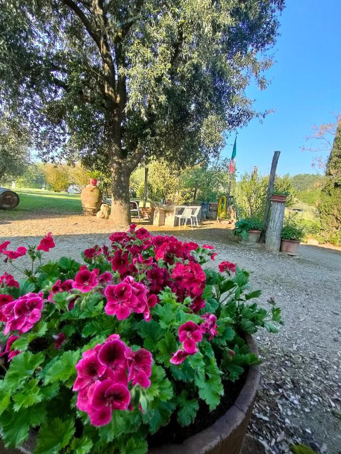 Azienda Agricola Polveraia San Gimignano Esterno foto