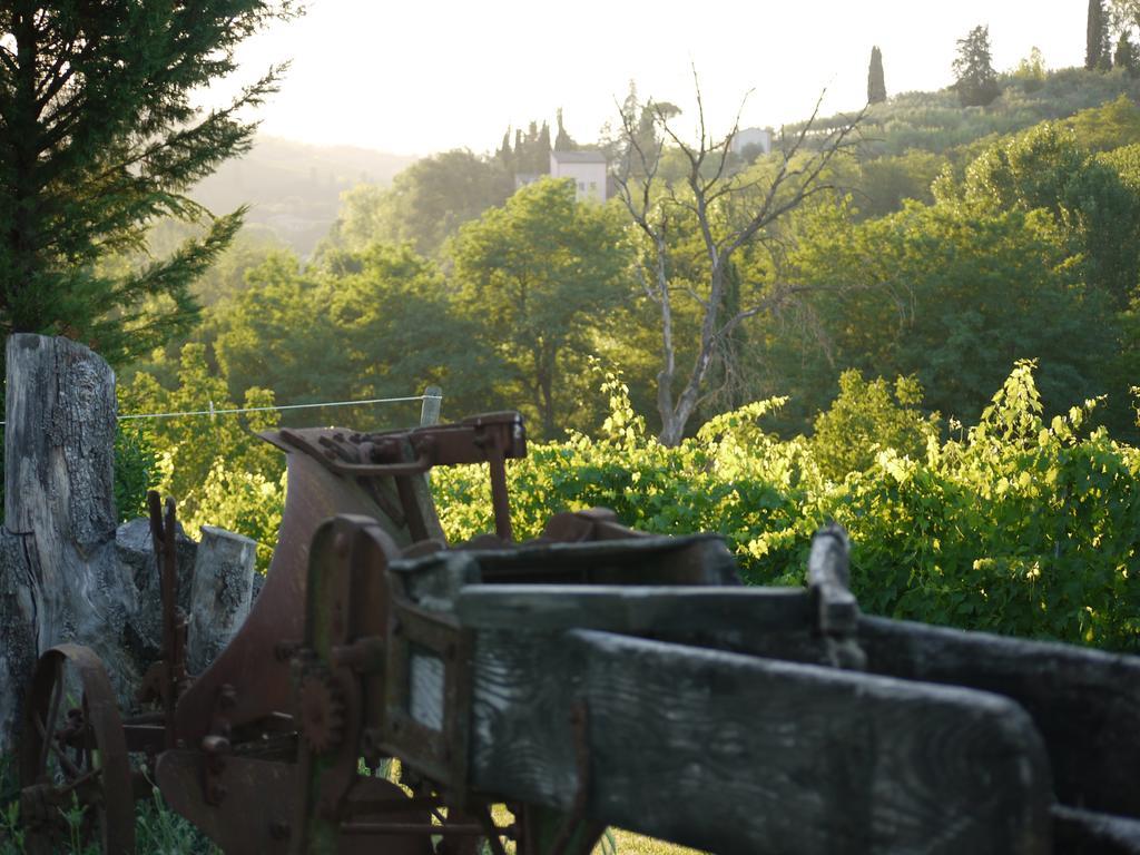 Azienda Agricola Polveraia San Gimignano Esterno foto