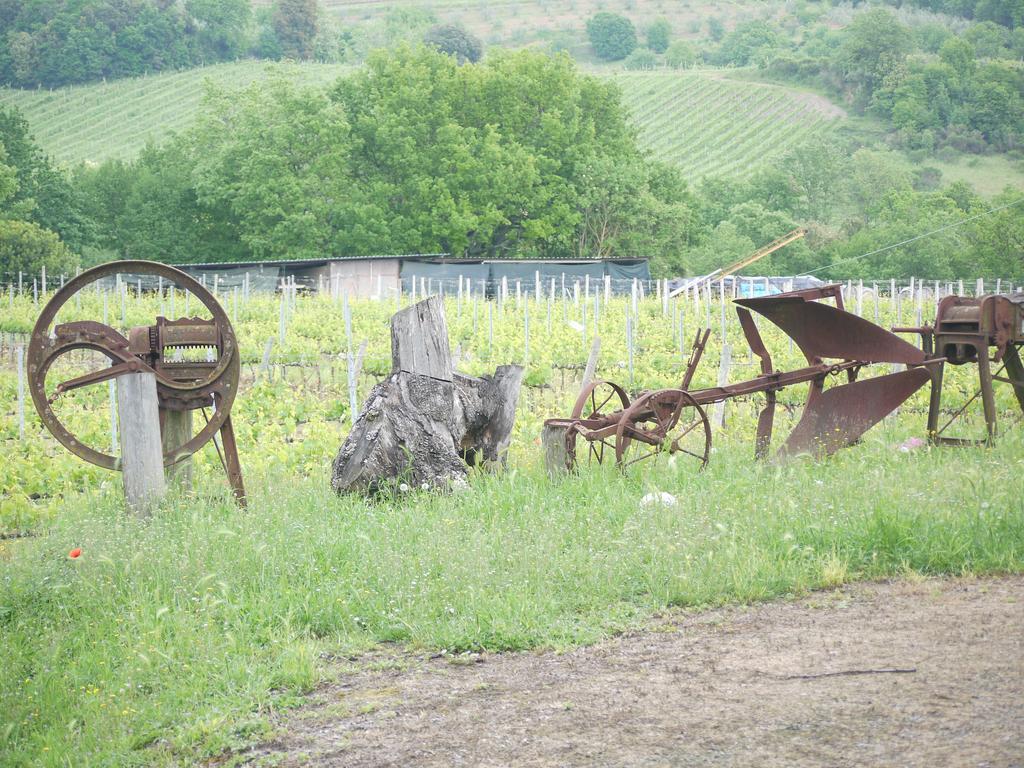Azienda Agricola Polveraia San Gimignano Esterno foto