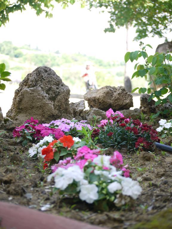 Azienda Agricola Polveraia San Gimignano Esterno foto