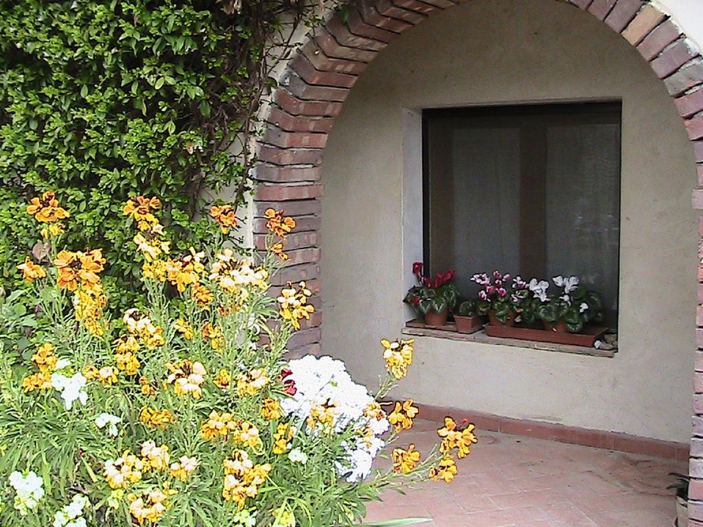 Azienda Agricola Polveraia San Gimignano Esterno foto