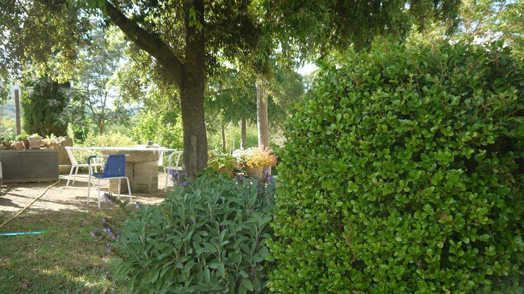 Azienda Agricola Polveraia San Gimignano Esterno foto