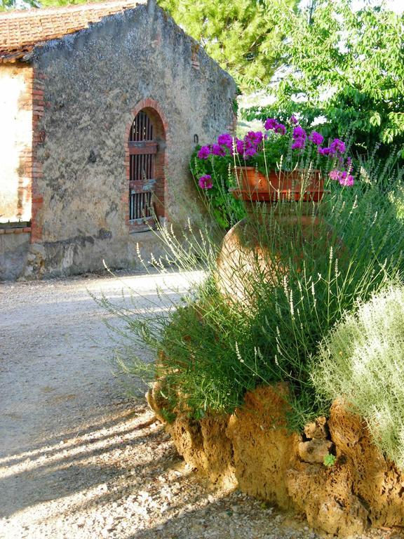 Azienda Agricola Polveraia San Gimignano Esterno foto