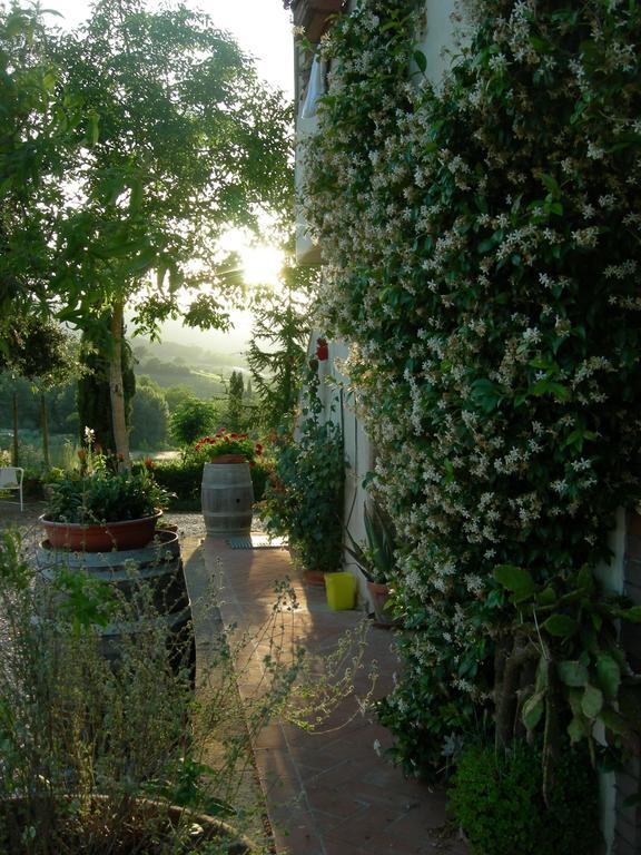 Azienda Agricola Polveraia San Gimignano Esterno foto