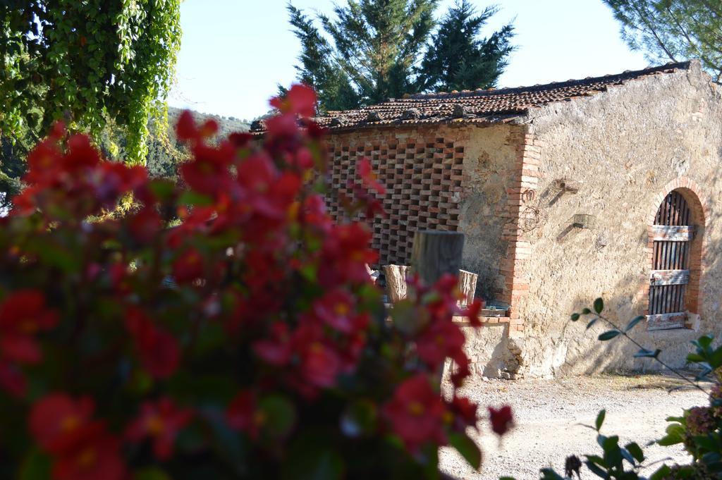 Azienda Agricola Polveraia San Gimignano Esterno foto