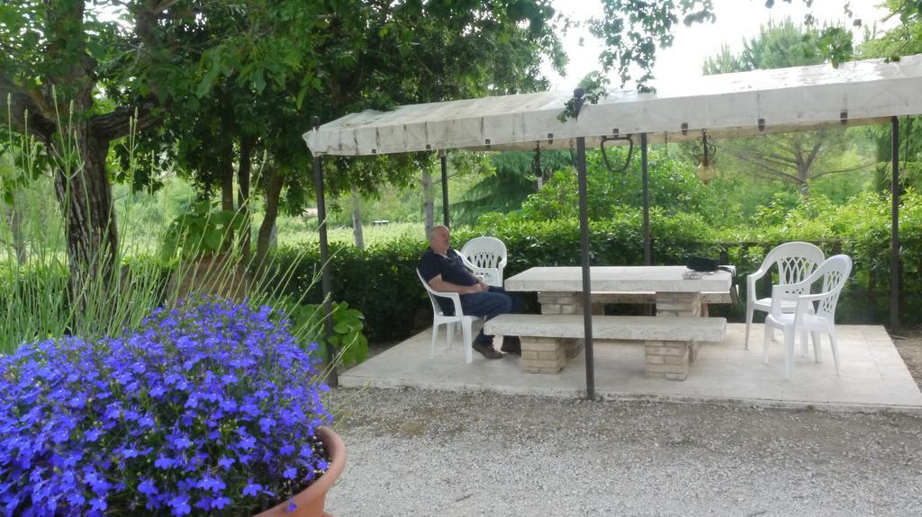 Azienda Agricola Polveraia San Gimignano Esterno foto
