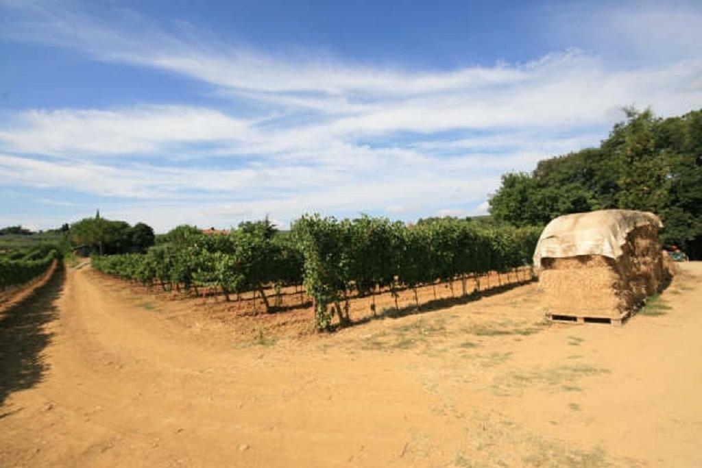 Azienda Agricola Polveraia San Gimignano Esterno foto