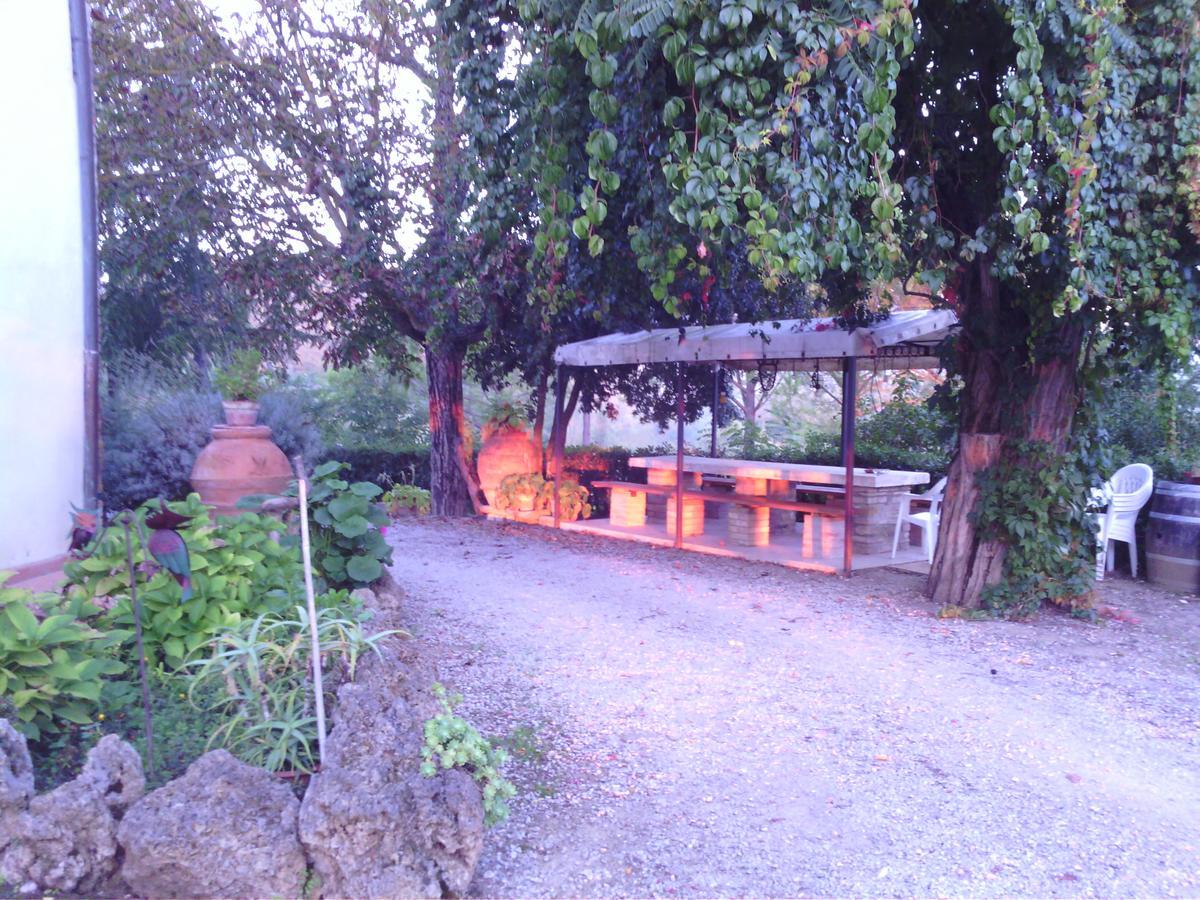 Azienda Agricola Polveraia San Gimignano Esterno foto